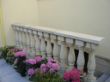 DSC07720.JPG